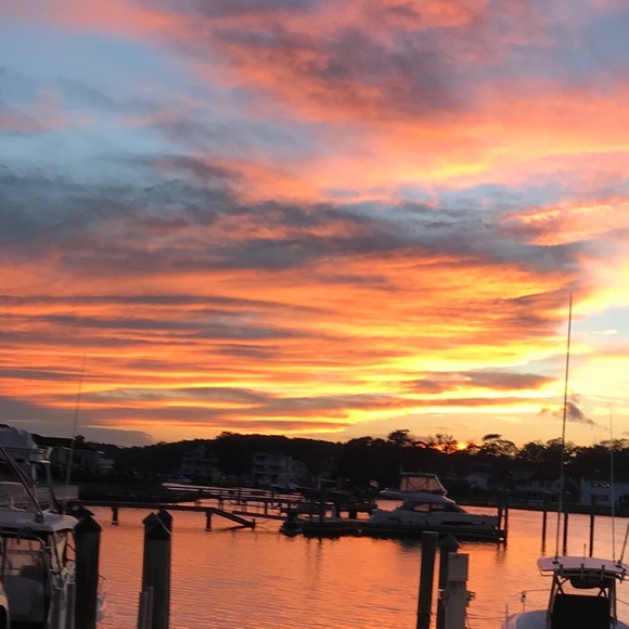 Meet your Posher, Annie - Picture 2 of 2